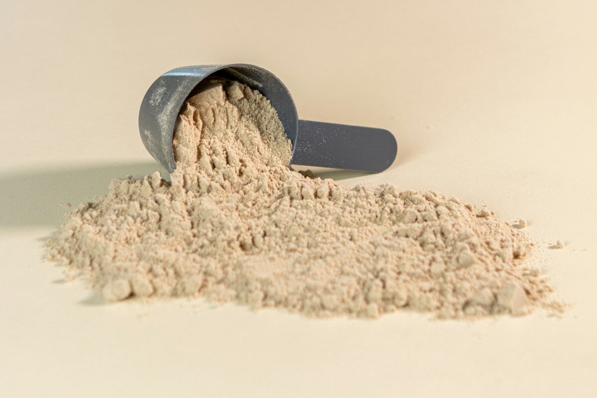 protein distribution for muscle growth - protein powder supplement jar and scoop